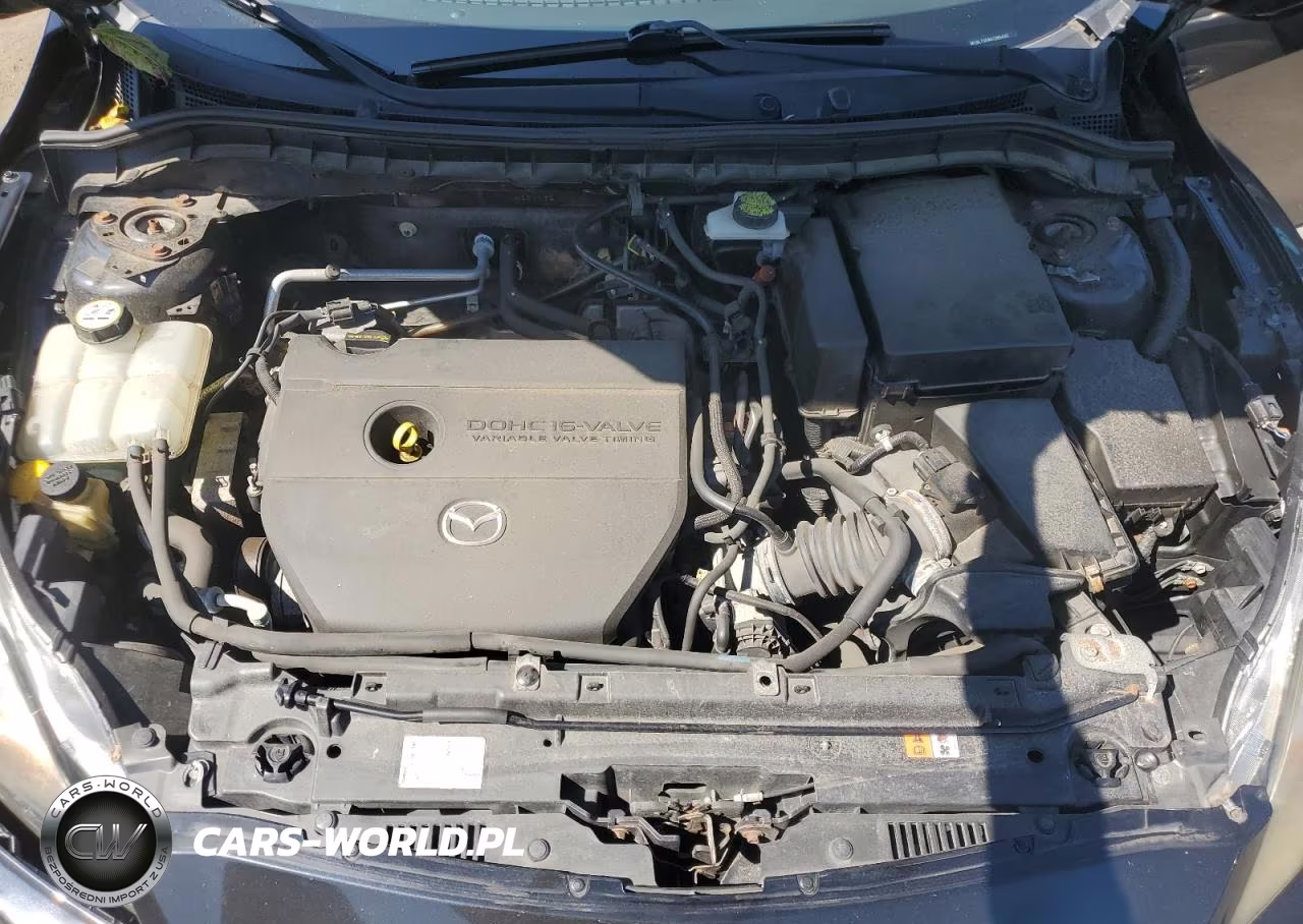 2010 Mazda 3 I VIN:JM1BL1SG9A1285440 - 11