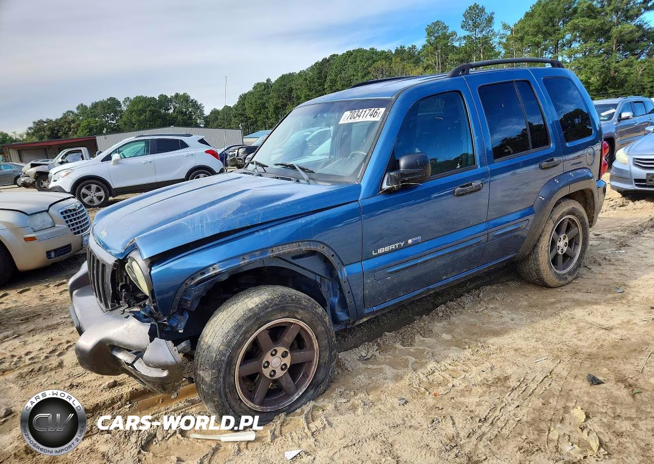 2003 Jeep Liberty Sport VIN:1J4GL48K33W675596 - 1