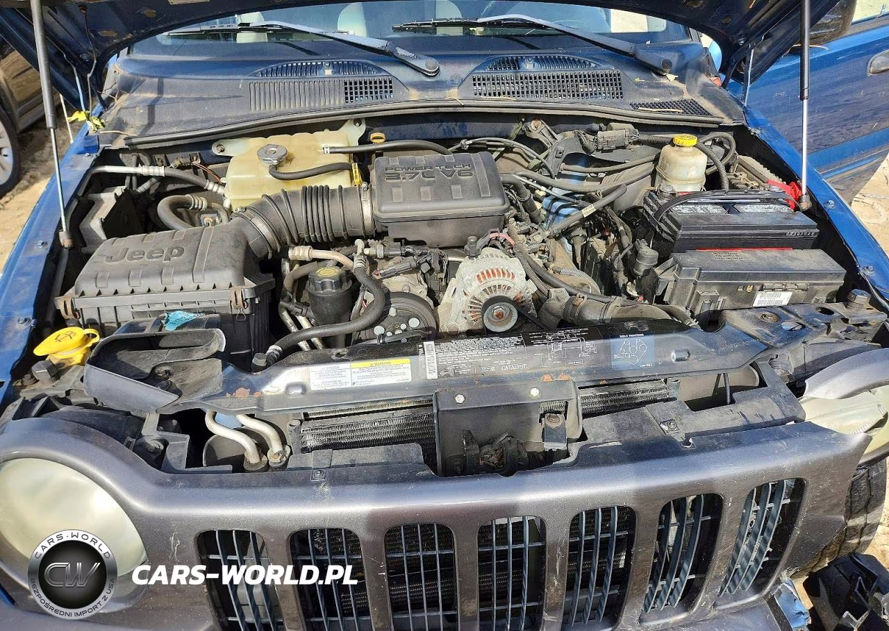 2003 Jeep Liberty Sport VIN:1J4GL48K33W675596 - 12