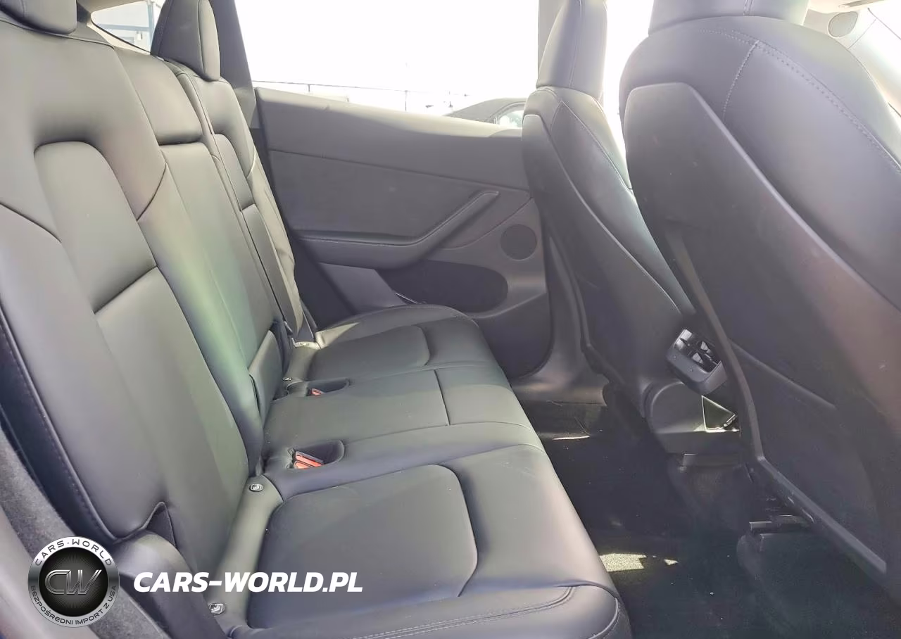 2023 Tesla Model Y VIN:7SAYGDEE4PA082062 - 10