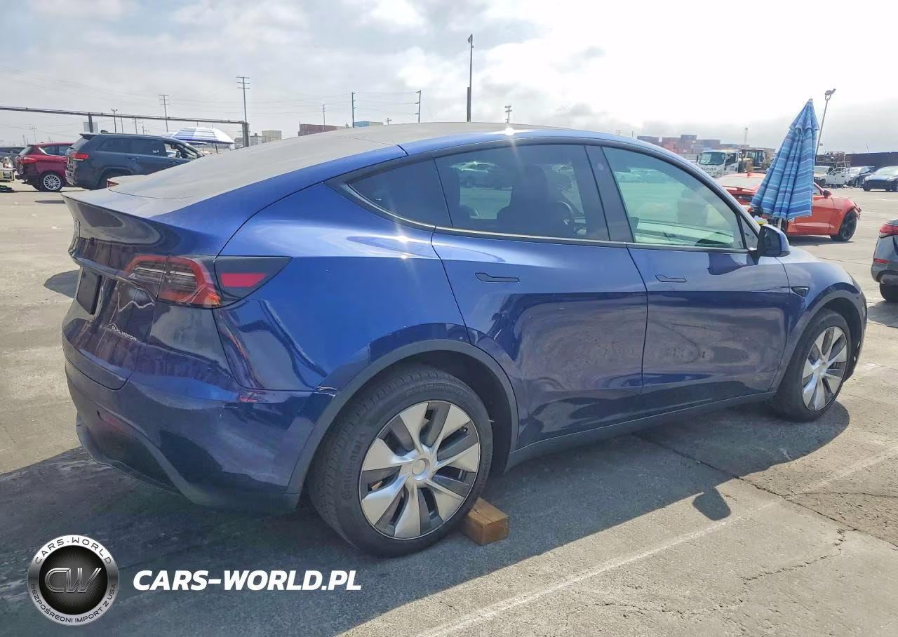 2023 Tesla Model Y VIN:7SAYGDEE4PA082062 - 3