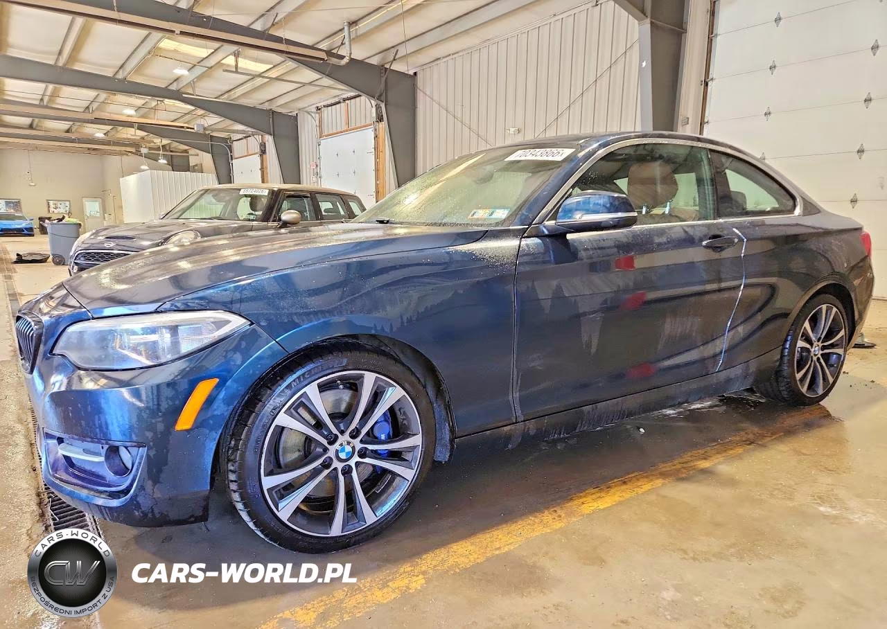 2016 BMW 228 Xi Sulev VIN:WBA1G9C5XGV727071 - 1