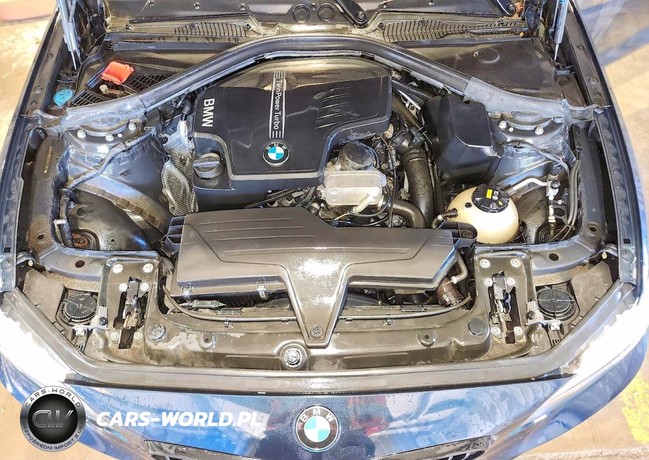 2016 BMW 228 Xi Sulev VIN:WBA1G9C5XGV727071 - 11