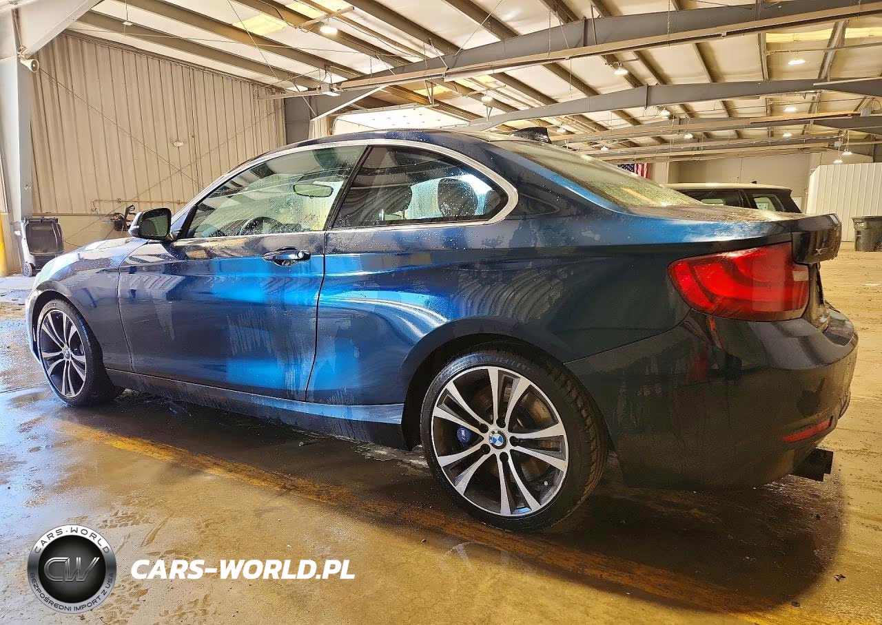 2016 BMW 228 Xi Sulev VIN:WBA1G9C5XGV727071 - 2