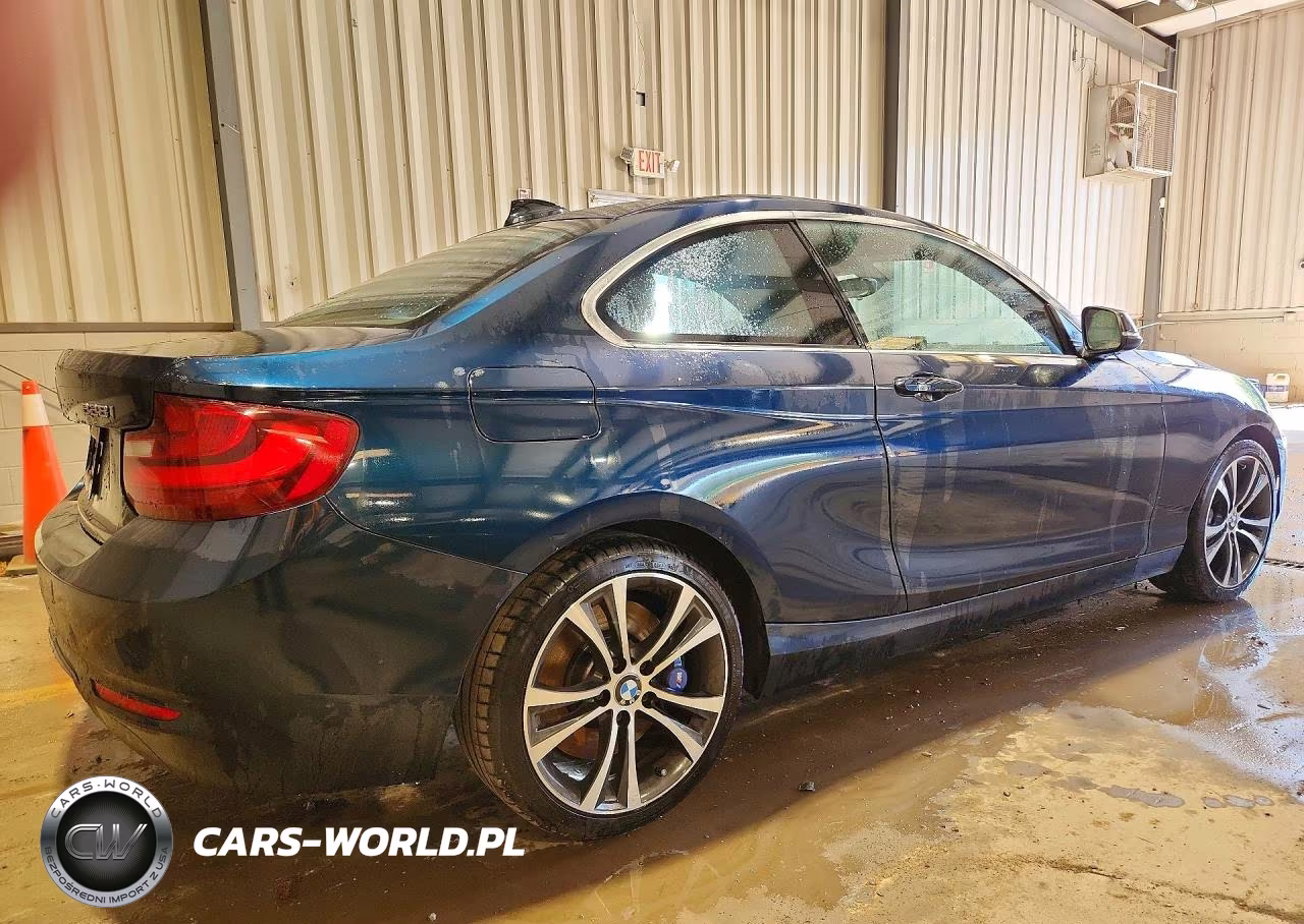 2016 BMW 228 Xi Sulev VIN:WBA1G9C5XGV727071 - 3