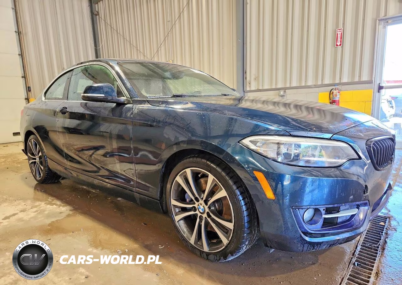 2016 BMW 228 Xi Sulev VIN:WBA1G9C5XGV727071 - 4