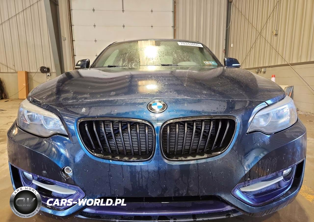 2016 BMW 228 Xi Sulev VIN:WBA1G9C5XGV727071 - 5