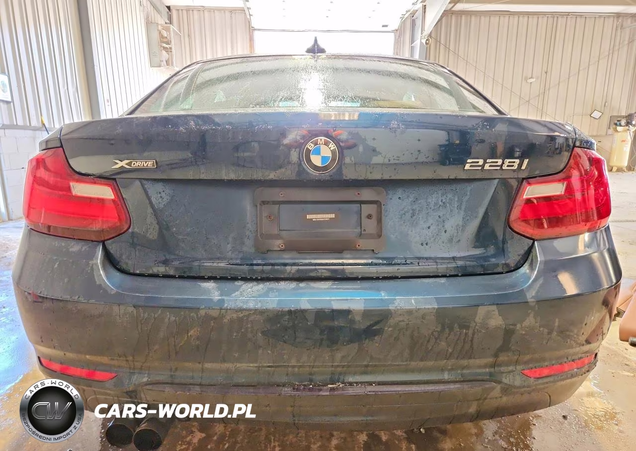 2016 BMW 228 Xi Sulev VIN:WBA1G9C5XGV727071 - 6