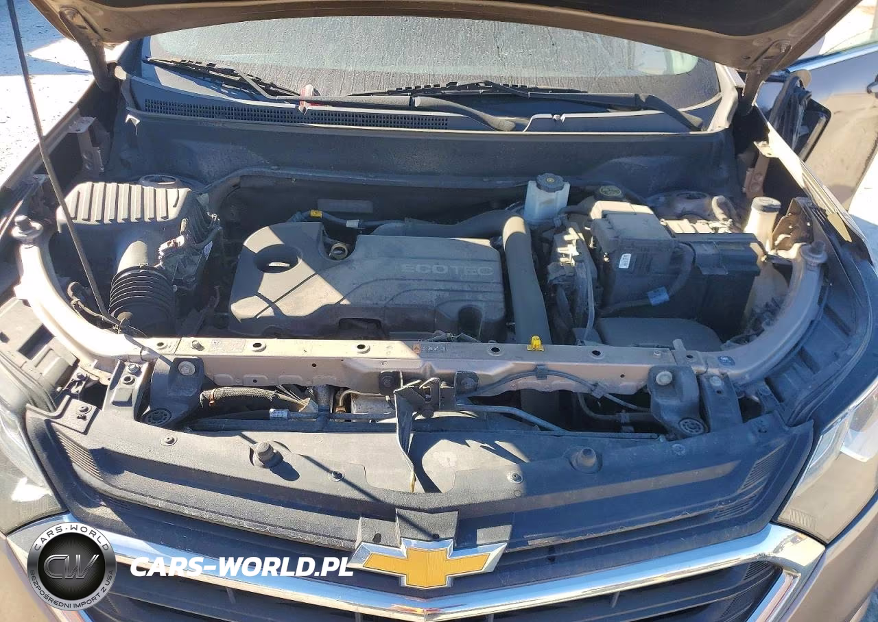 2019 Chevrolet Equinox Lt VIN:2GNAXKEV9K6112975 - 12