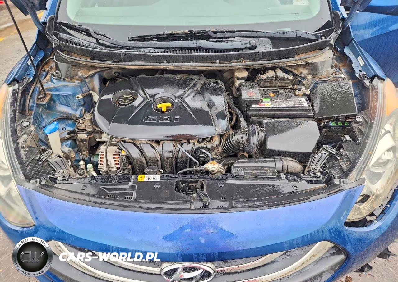 2015 Hyundai Elantra Gt Base VIN:KMHD35LH1FU244471 - 11
