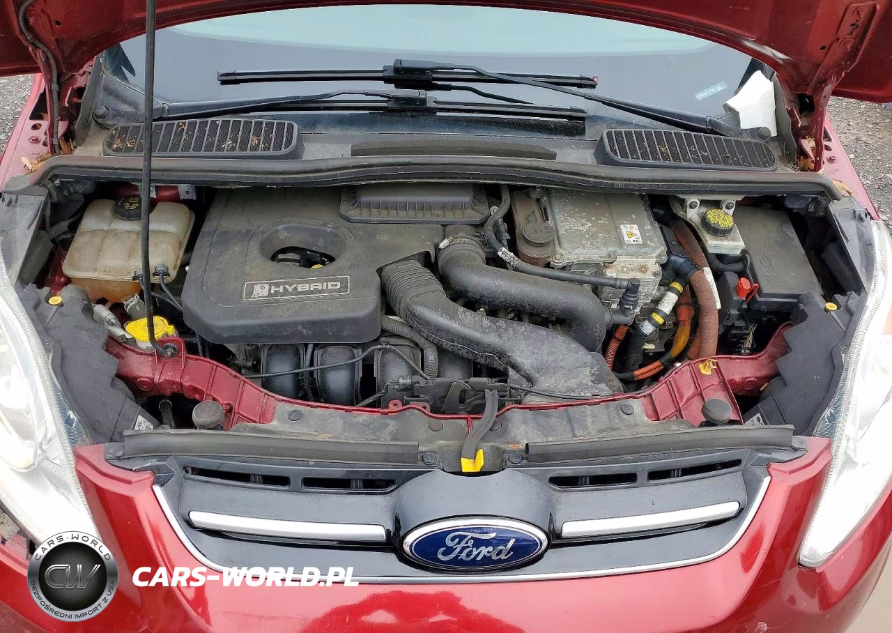 2015 Ford C-Max Sel VIN:1FADP5BU5FL113708 - 12