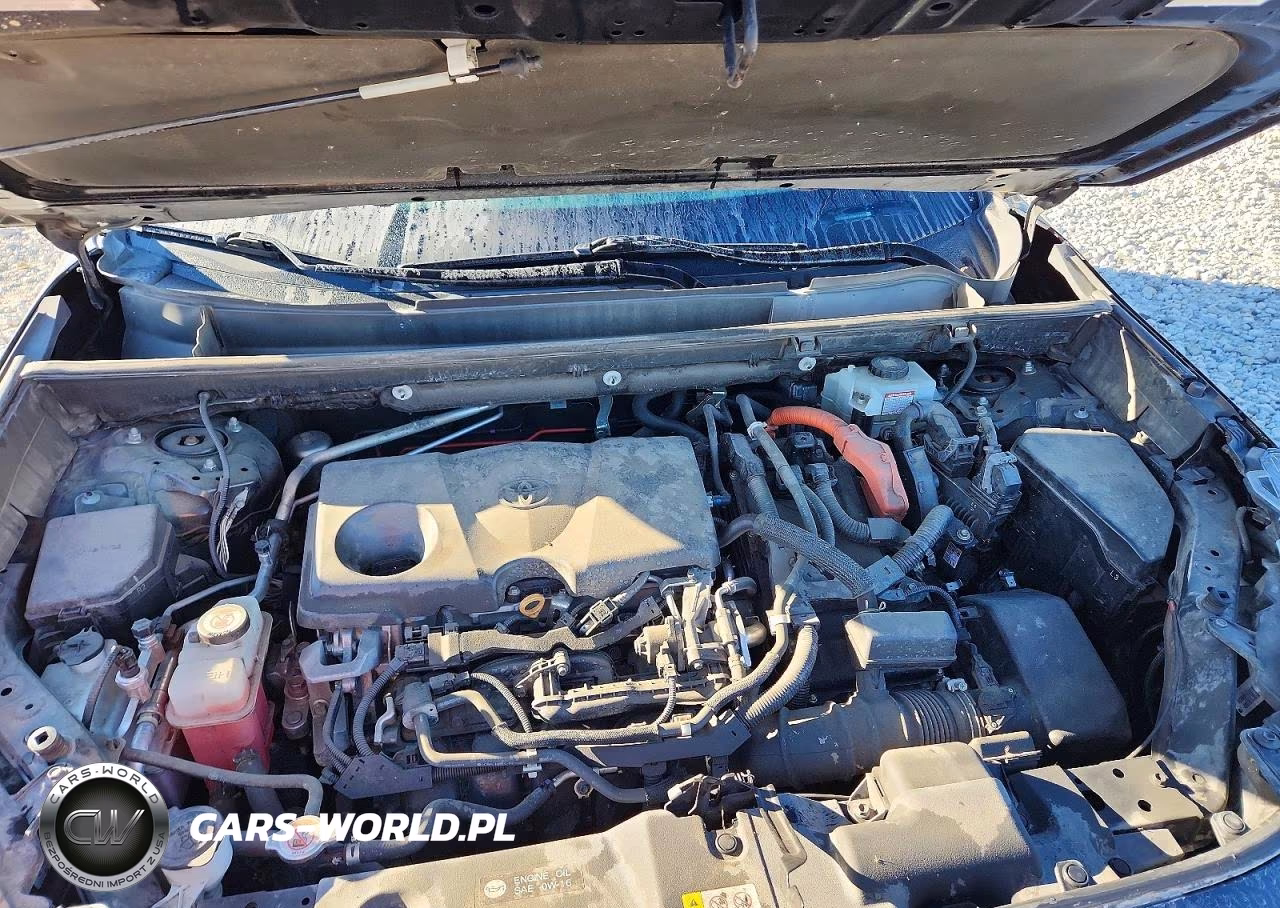 2019 Toyota Rav4 Hybrid Xle VIN:2T3RWRFV2KW014915 - 12