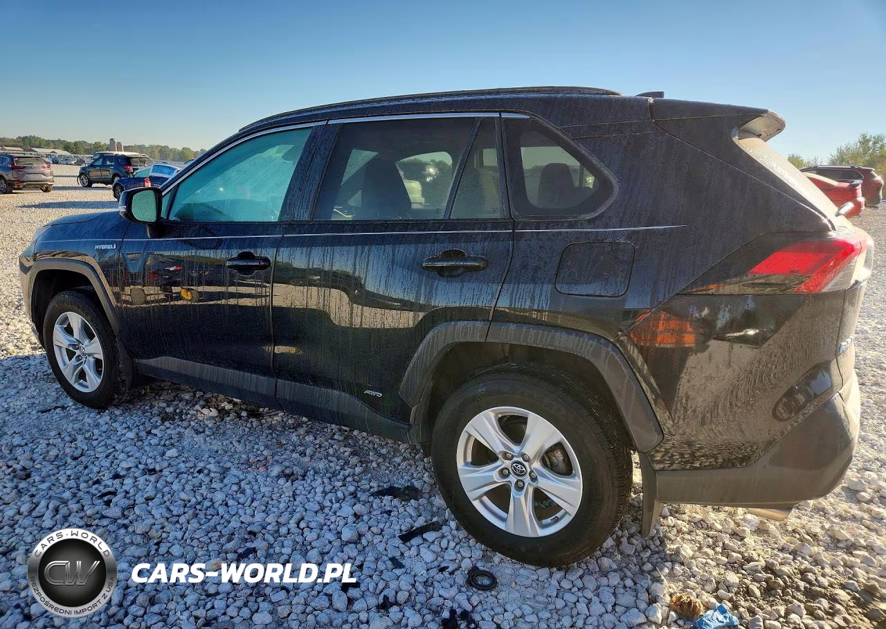 2019 Toyota Rav4 Hybrid Xle VIN:2T3RWRFV2KW014915 - 2