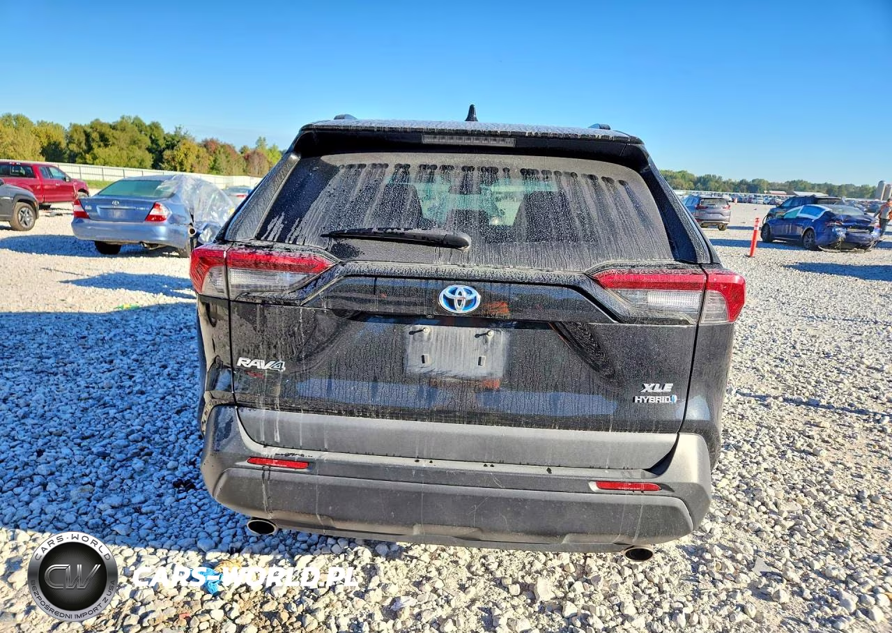 2019 Toyota Rav4 Hybrid Xle VIN:2T3RWRFV2KW014915 - 6