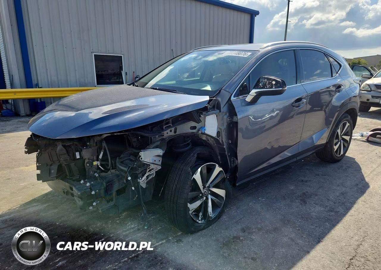 2019 Lexus Nx 300 Base VIN:JTJYARBZXK2117752 - 1