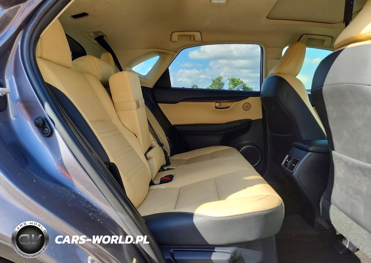 2019 Lexus Nx 300 Base VIN:JTJYARBZXK2117752 - 11