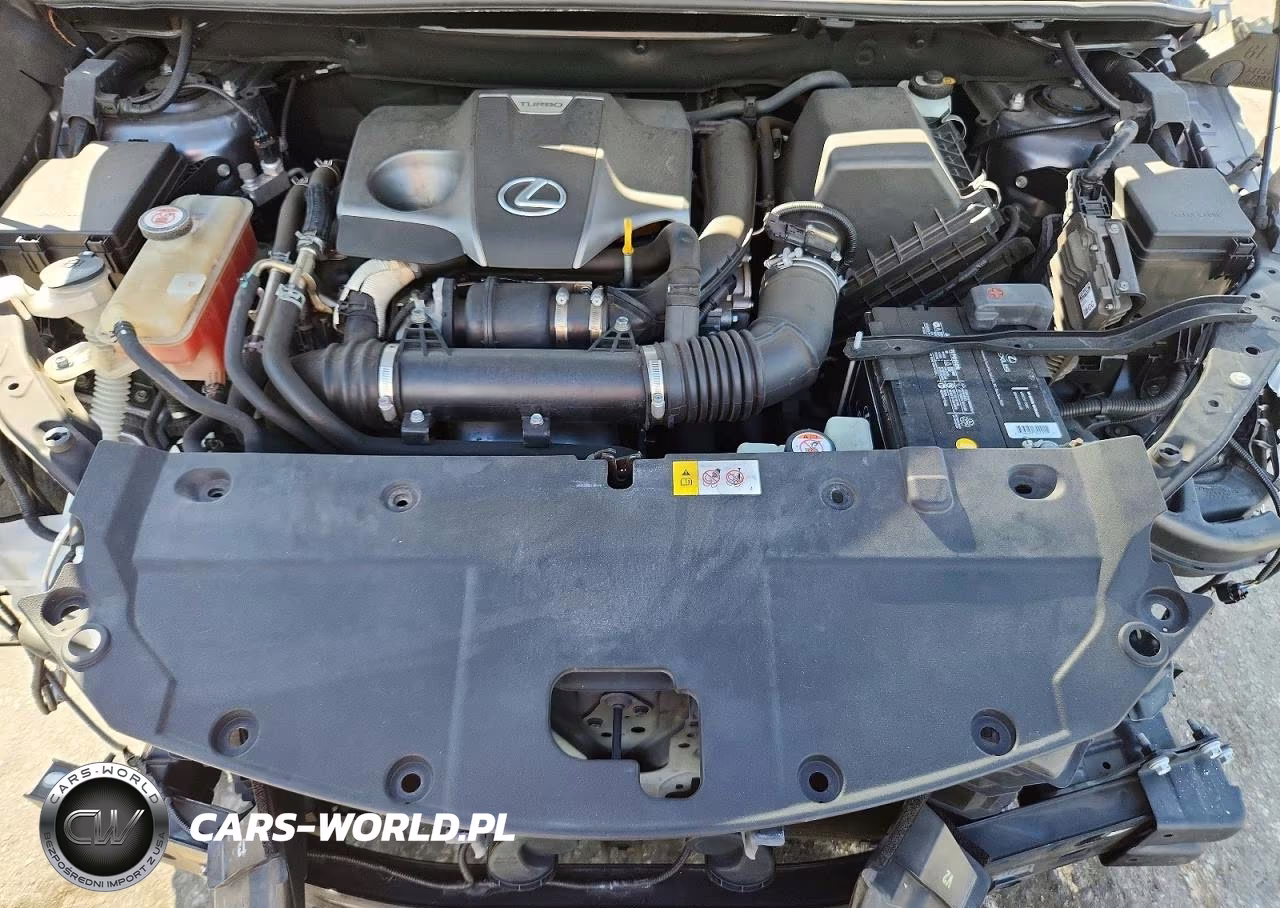2019 Lexus Nx 300 Base VIN:JTJYARBZXK2117752 - 12