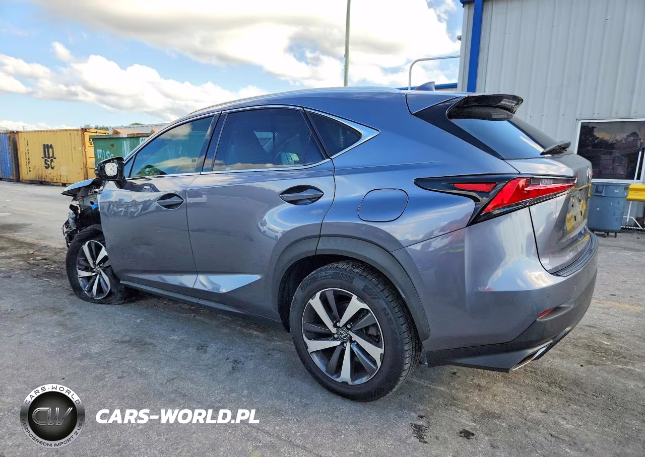 2019 Lexus Nx 300 Base VIN:JTJYARBZXK2117752 - 2
