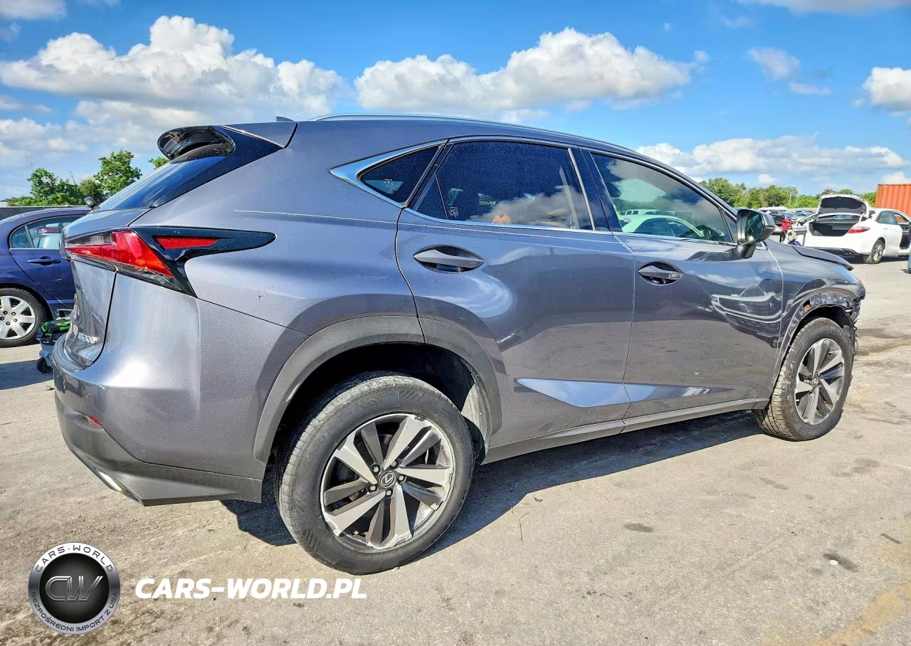 2019 Lexus Nx 300 Base VIN:JTJYARBZXK2117752 - 3