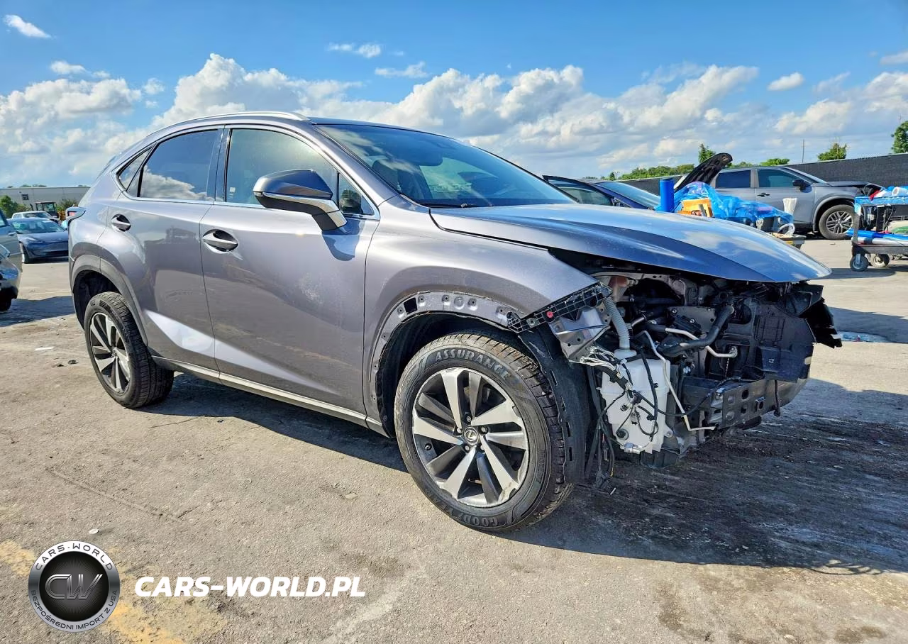 2019 Lexus Nx 300 Base VIN:JTJYARBZXK2117752 - 4