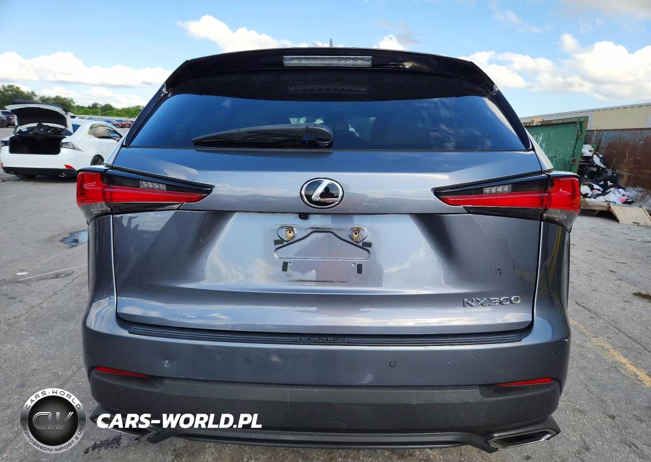 2019 Lexus Nx 300 Base VIN:JTJYARBZXK2117752 - 6