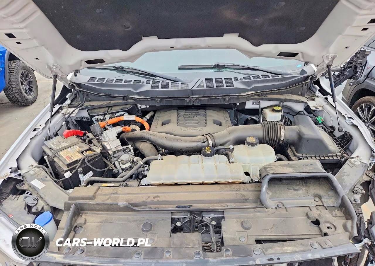 2023 Ford F150 Supercrew VIN:1FTFW1ED9PFB94111 - 11