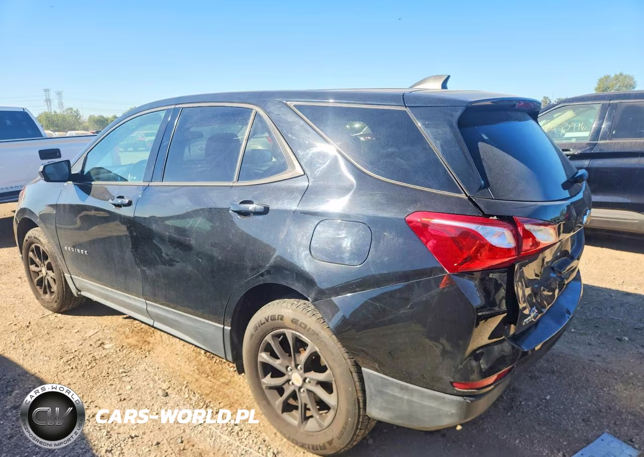 2019 Chevrolet Equinox Ls VIN:2GNAXSEV9K6253156 - 2
