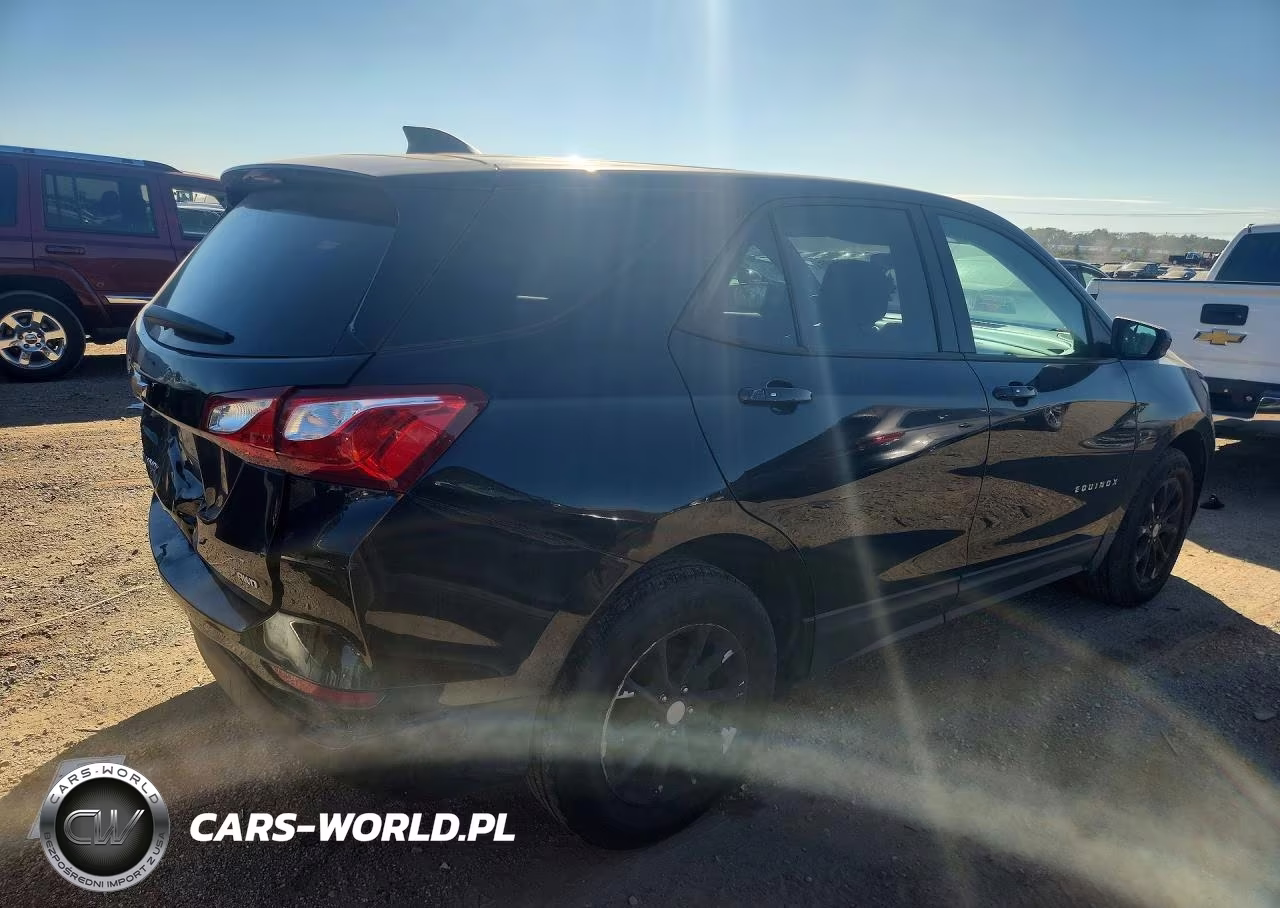 2019 Chevrolet Equinox Ls VIN:2GNAXSEV9K6253156 - 3