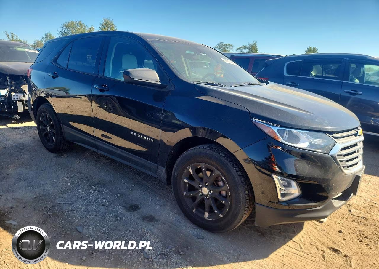 2019 Chevrolet Equinox Ls VIN:2GNAXSEV9K6253156 - 4