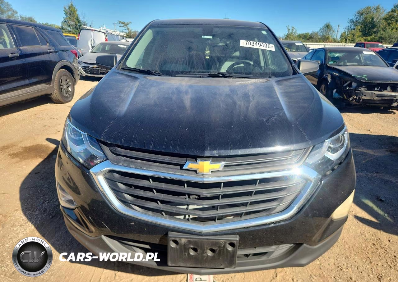 2019 Chevrolet Equinox Ls VIN:2GNAXSEV9K6253156 - 5