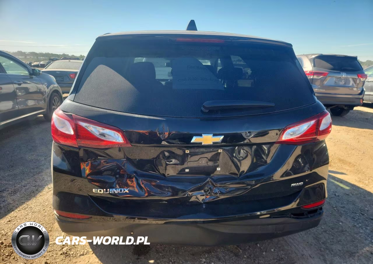 2019 Chevrolet Equinox Ls VIN:2GNAXSEV9K6253156 - 6