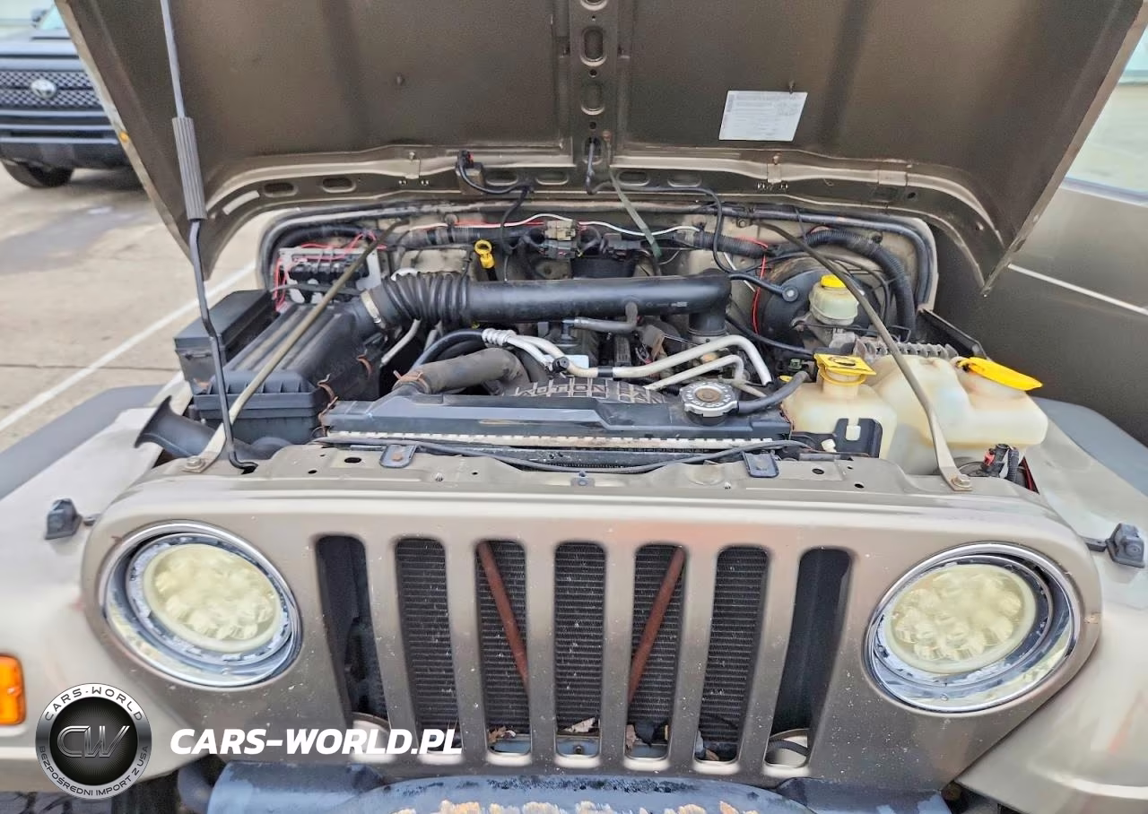 2004 Jeep Wrangler - Tj Sahara VIN:1J4FA59S74P716202 - 12