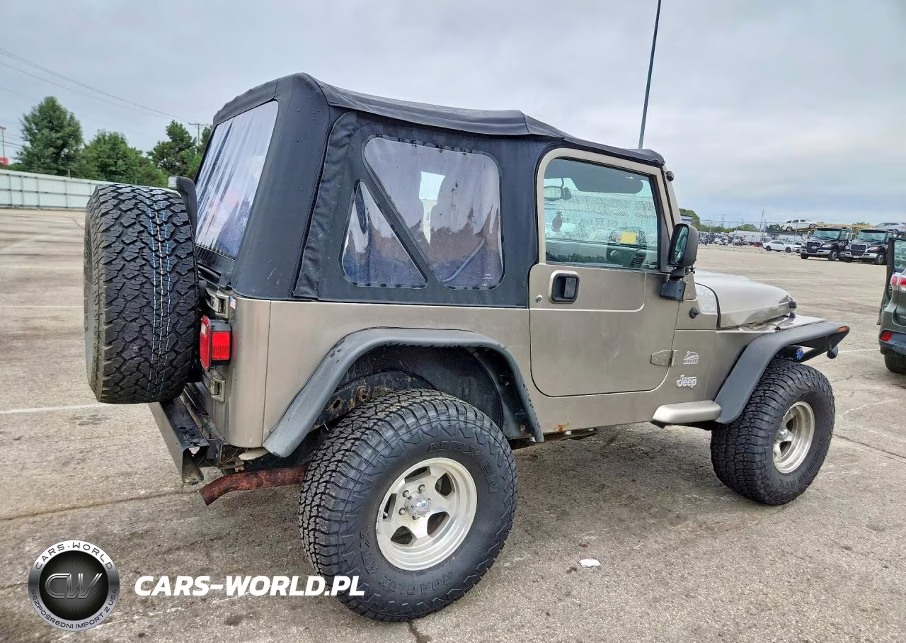 2004 Jeep Wrangler - Tj Sahara VIN:1J4FA59S74P716202 - 3