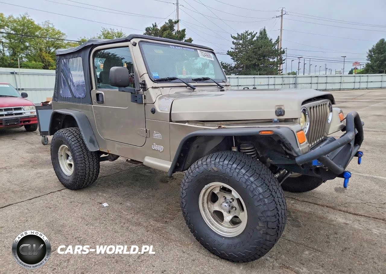 2004 Jeep Wrangler - Tj Sahara VIN:1J4FA59S74P716202 - 4