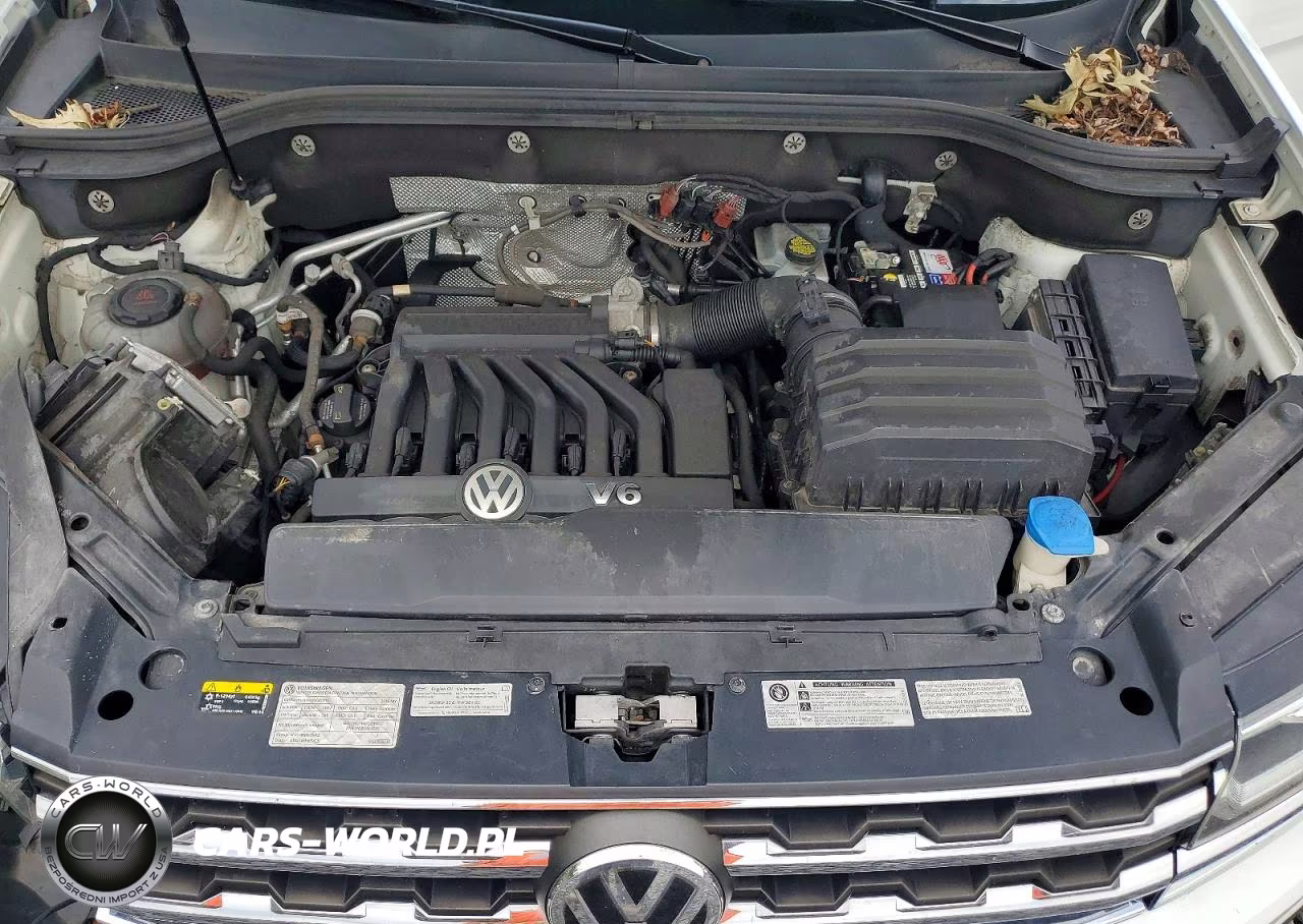 2019 Volkswagen Atlas Se VIN:1V2UR2CA7KC541859 - 12