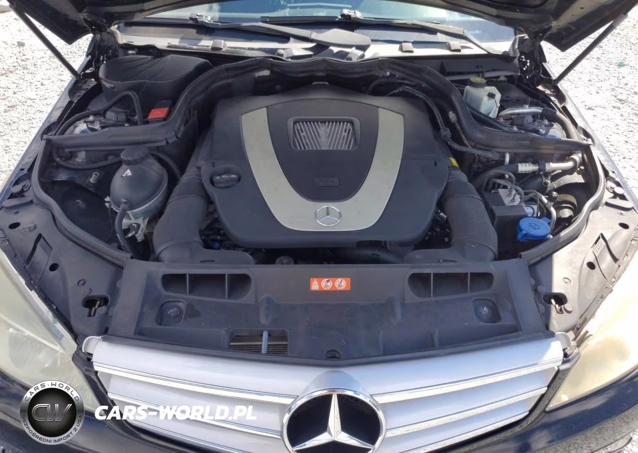 2010 Mercedes-Benz C 300 4Matic VIN:WDDGF8BB8AR099910 - 11