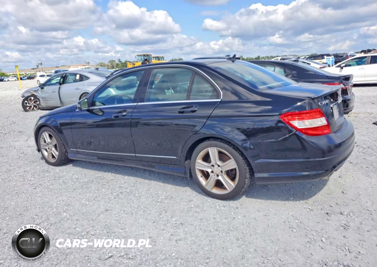 2010 Mercedes-Benz C 300 4Matic VIN:WDDGF8BB8AR099910 - 2
