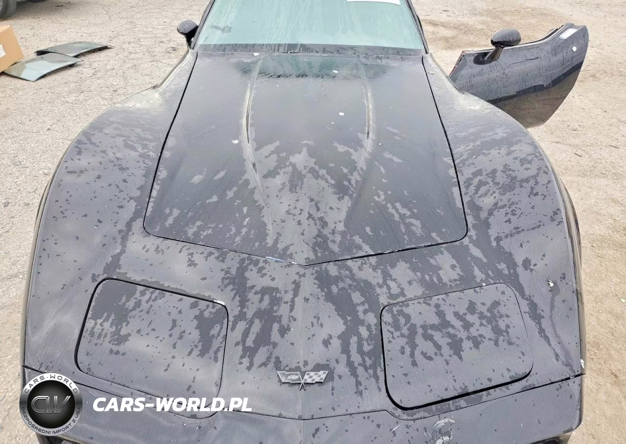 1982 Chevrolet Corvette VIN:1G1AY8781C5106707 - 11