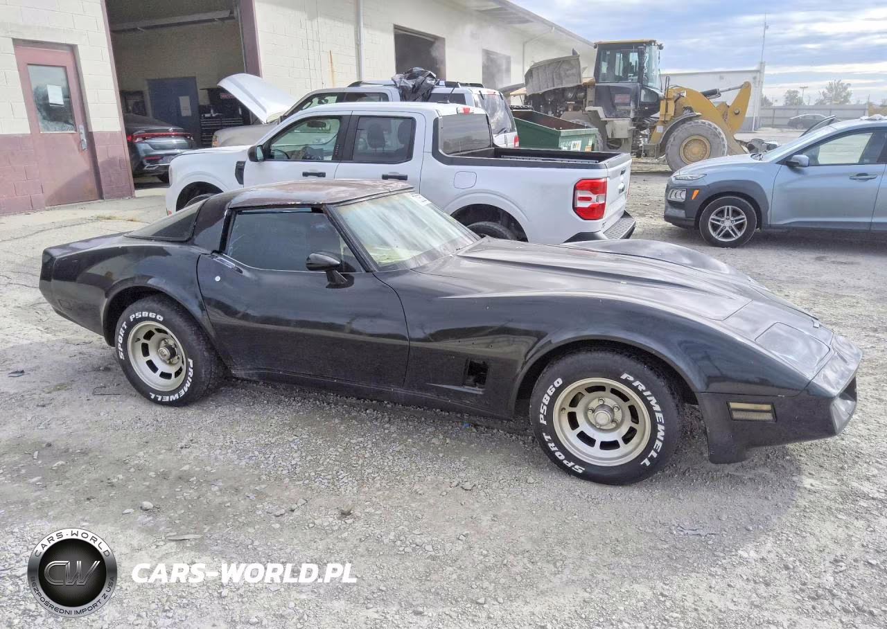 1982 Chevrolet Corvette VIN:1G1AY8781C5106707 - 4