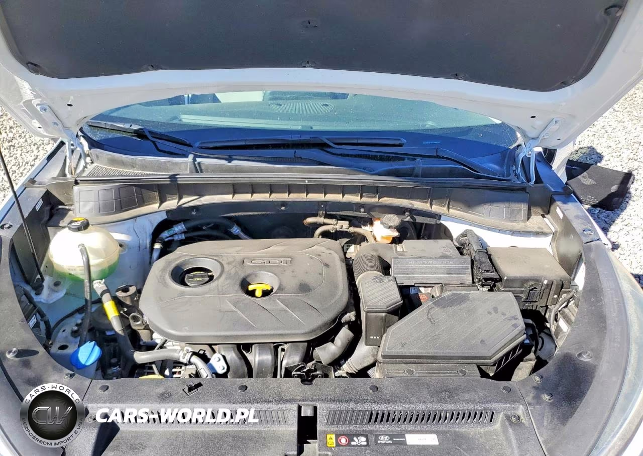 2019 Hyundai Tucson Se VIN:KM8J2CA41KU946066 - 12
