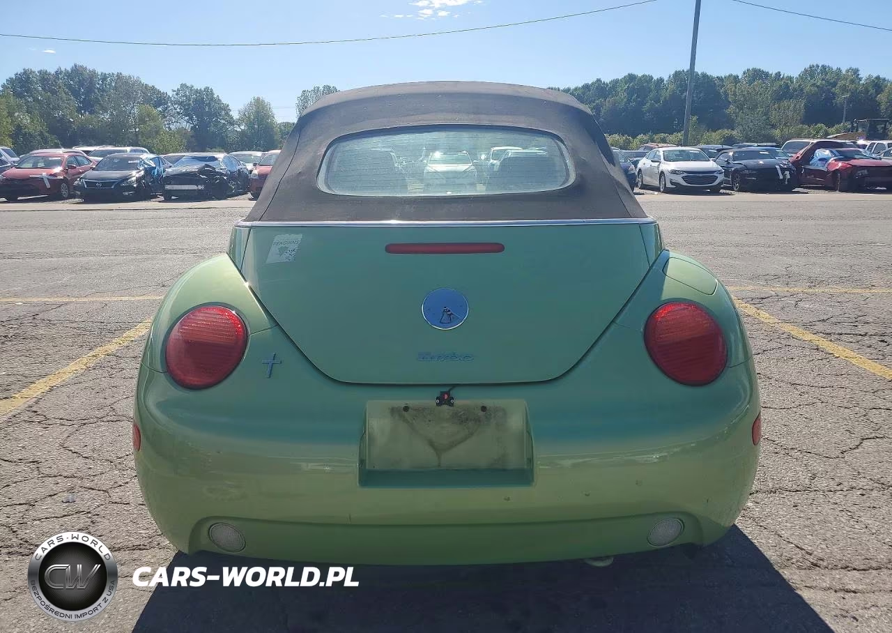2004 Volkswagen New Beetle Gls VIN:3VWCD21Y64M306993 - 6