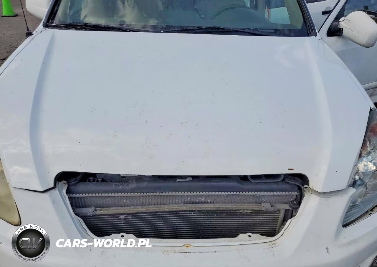 2006 Honda Cr-V Se VIN:JHLRD78916C059253 - 12