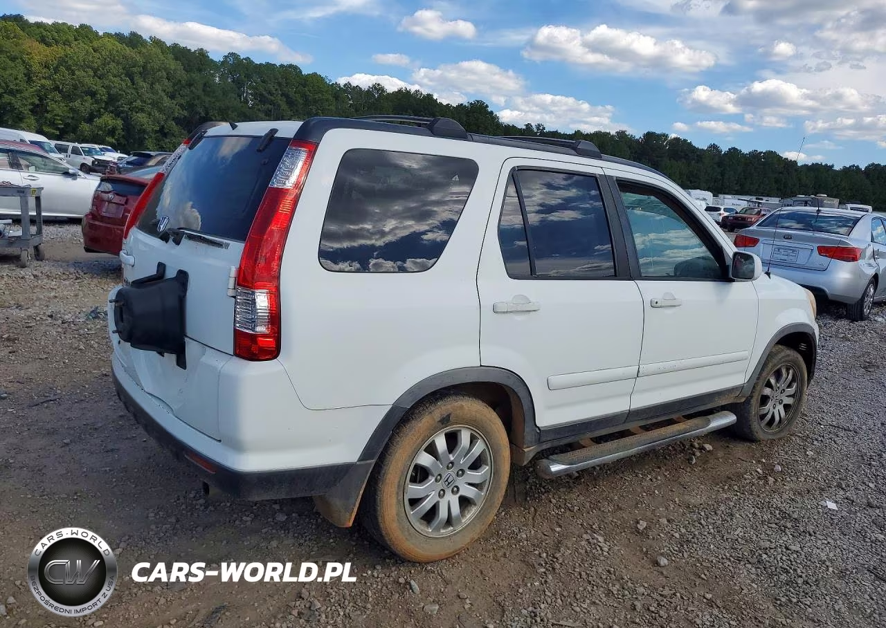 2006 Honda Cr-V Se VIN:JHLRD78916C059253 - 3