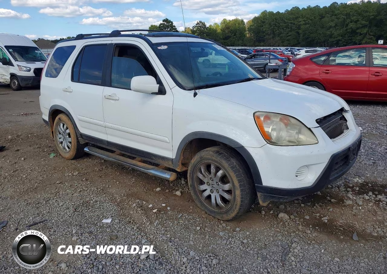 2006 Honda Cr-V Se VIN:JHLRD78916C059253 - 4