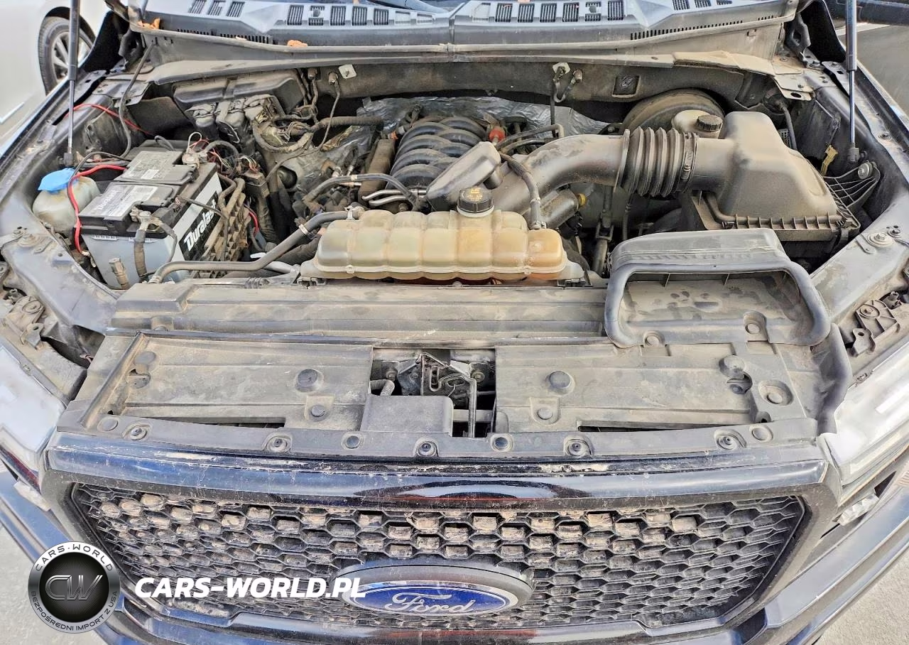 2019 Ford F150 Supercrew VIN:1FTEW1C58KKE69006 - 11