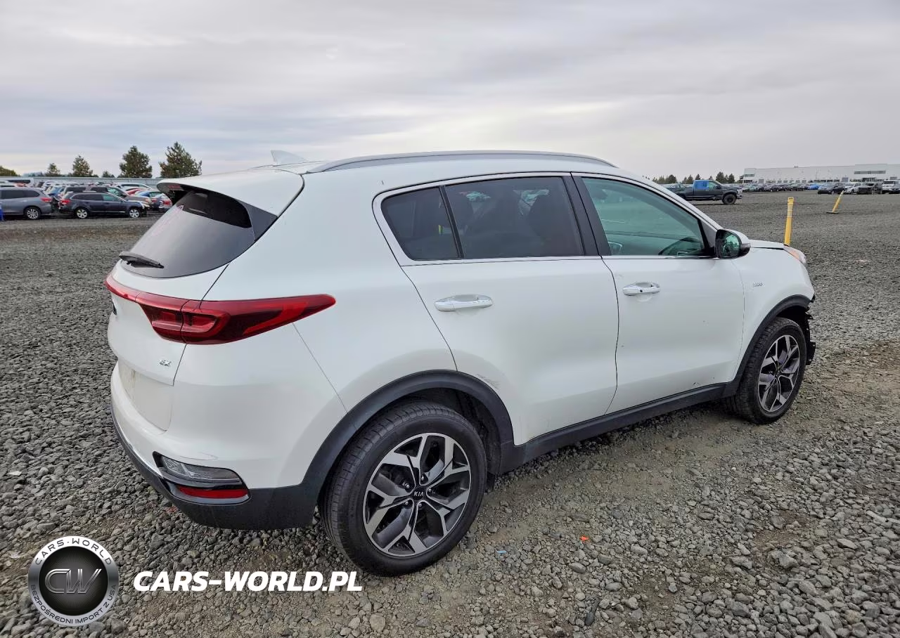 2021 Kia Sportage Ex VIN:KNDPNCAC1M7875000 - 3