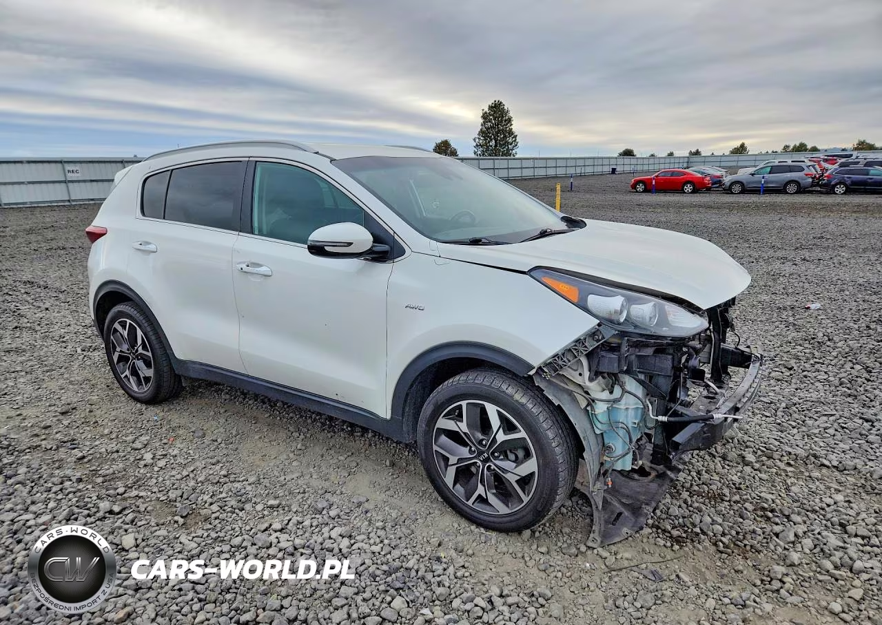 2021 Kia Sportage Ex VIN:KNDPNCAC1M7875000 - 4