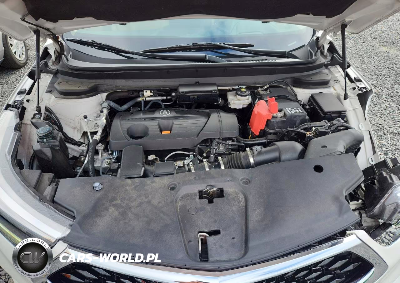 2019 Acura Rdx Advance VIN:5J8TC1H79KL009973 - 12