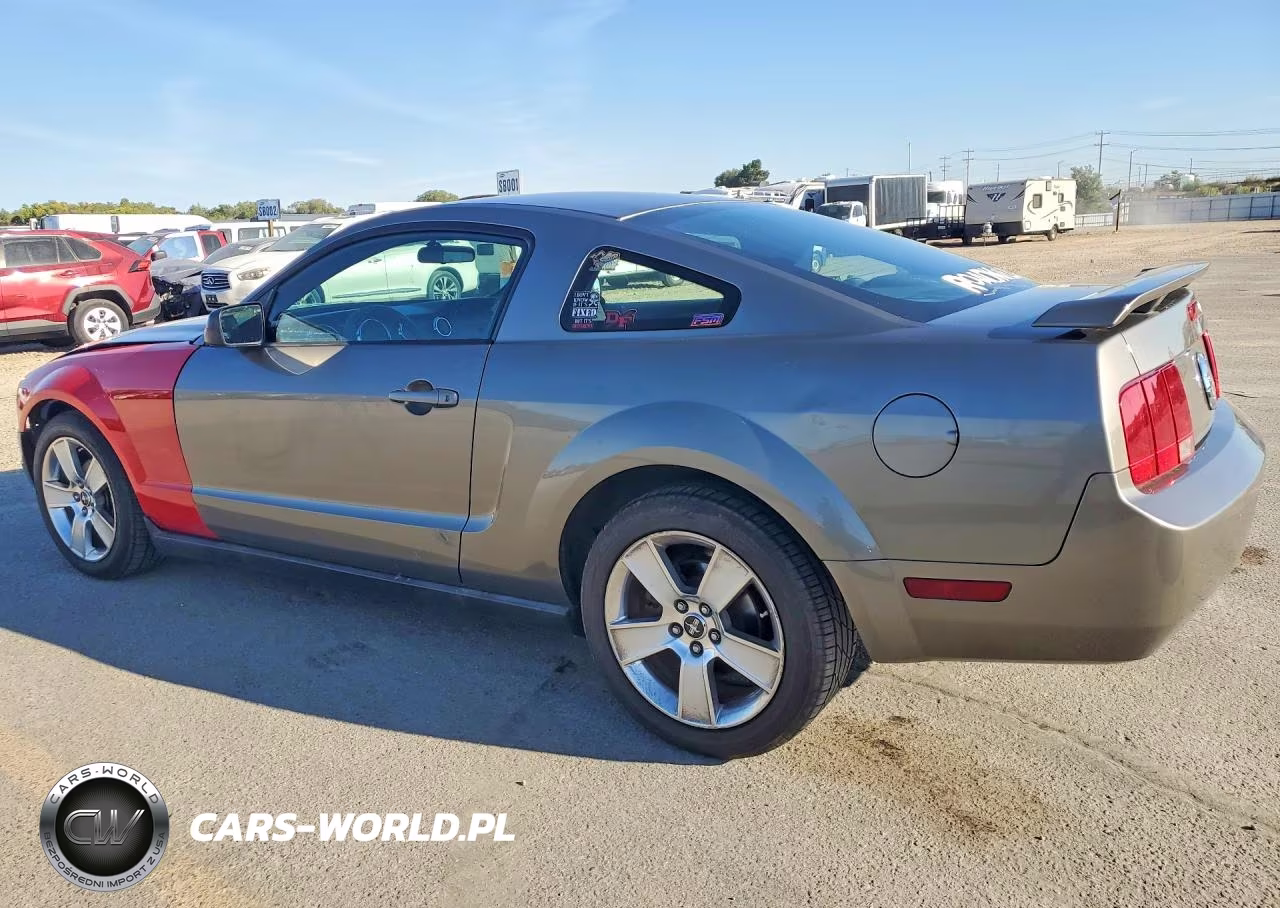 2005 Ford Mustang VIN:1ZVFT80N655188297 - 2