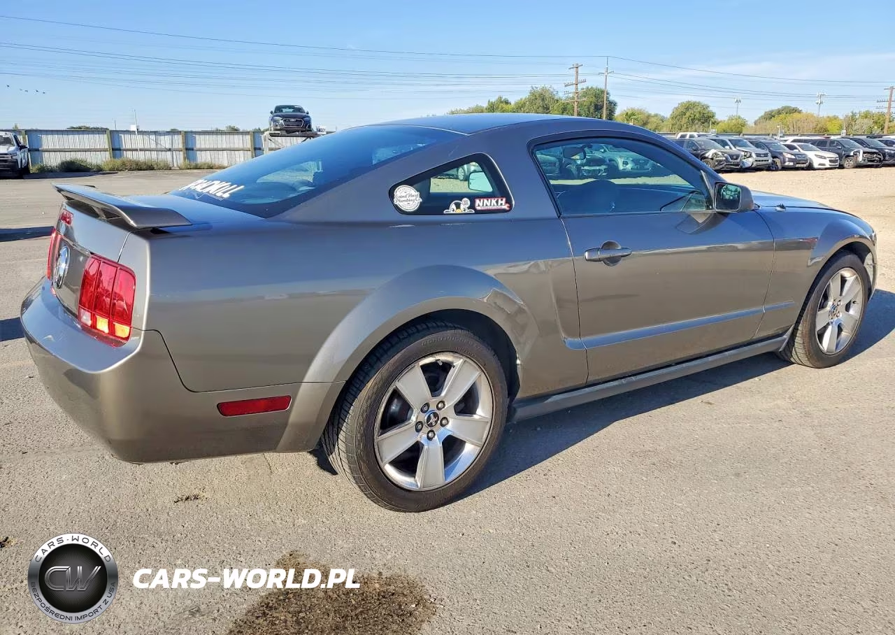 2005 Ford Mustang VIN:1ZVFT80N655188297 - 3